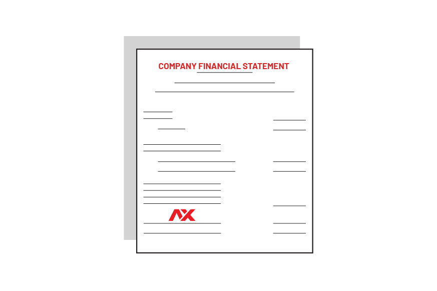 Company Financial Statement