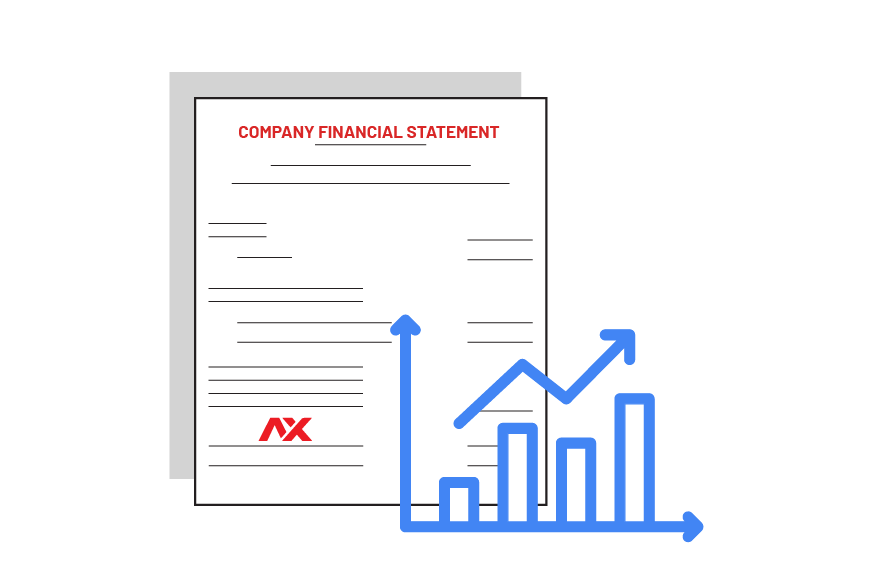 Company Financial Statement
